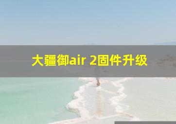 大疆御air 2固件升级